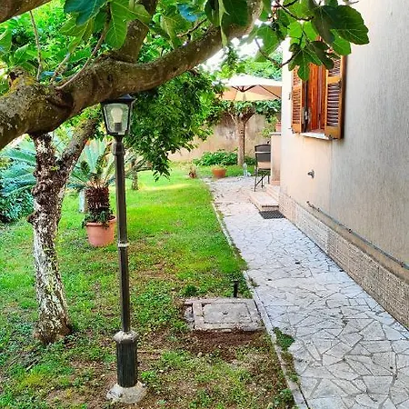 Greenhouse_anzio شقة *